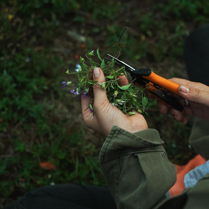 Fiskars Micro-Tip Pruning Snips - 6" Garden Shears with Sheath and Comfort Grip - Sharp Steel Blades - Quality Pruning Shears for Plants in Grow Tents and Hydroponics - Garden Tools