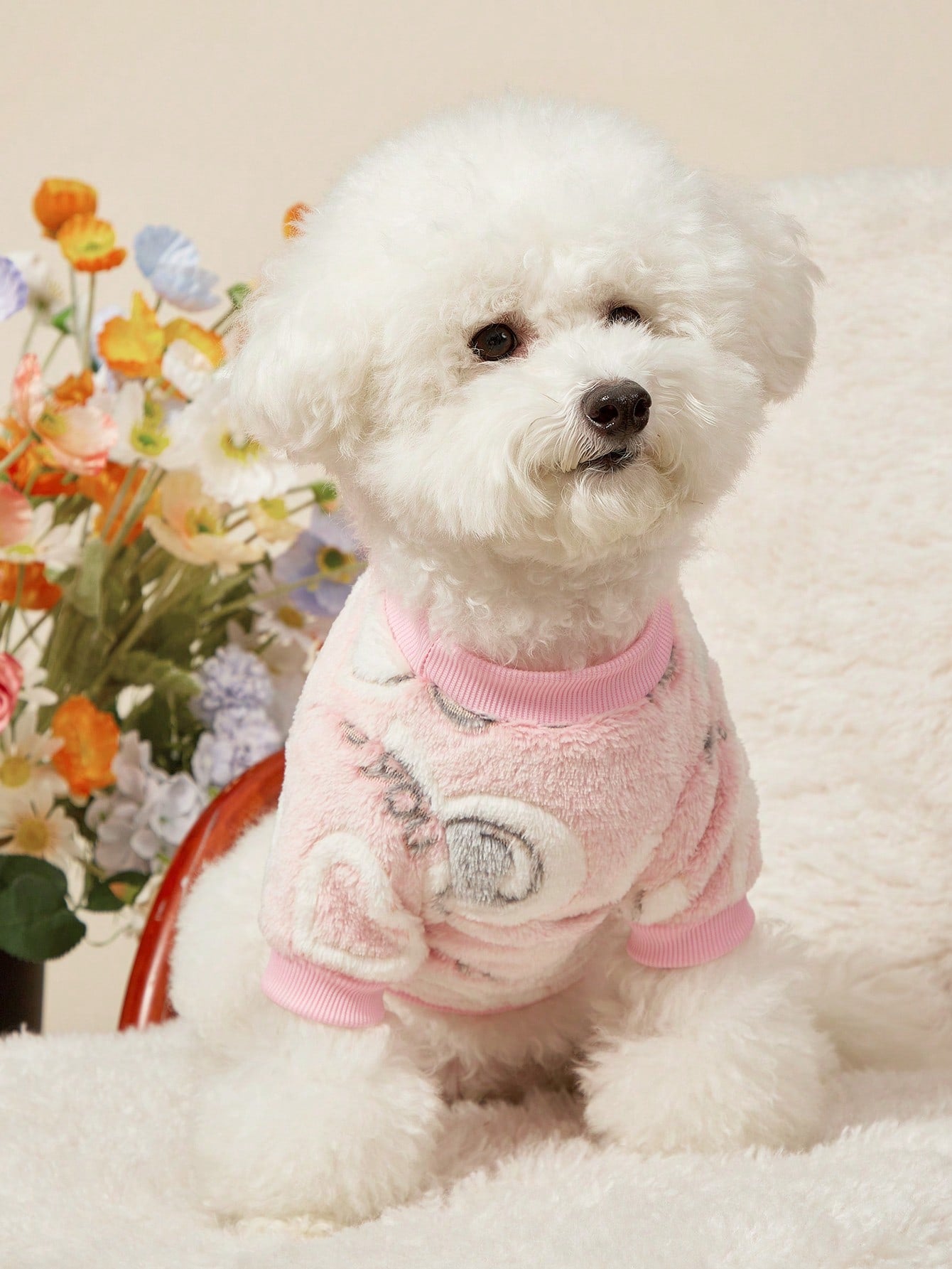 PETSIN Dinosaur Print Pet Hoodie