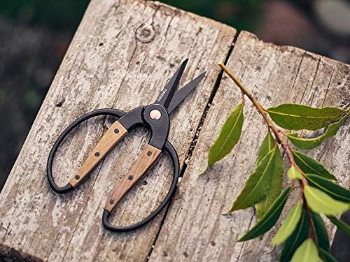 Barebones Garden Scissors - Walnut Scissors - Garden Supplies and Indoor Plant Accessories - Plant Shears with Wide Handles - Comfortable Fit Trimming Shears (Small)