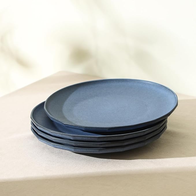 Stone Lain Rio 4-Piece Dinner Plate Set Stoneware, Blue