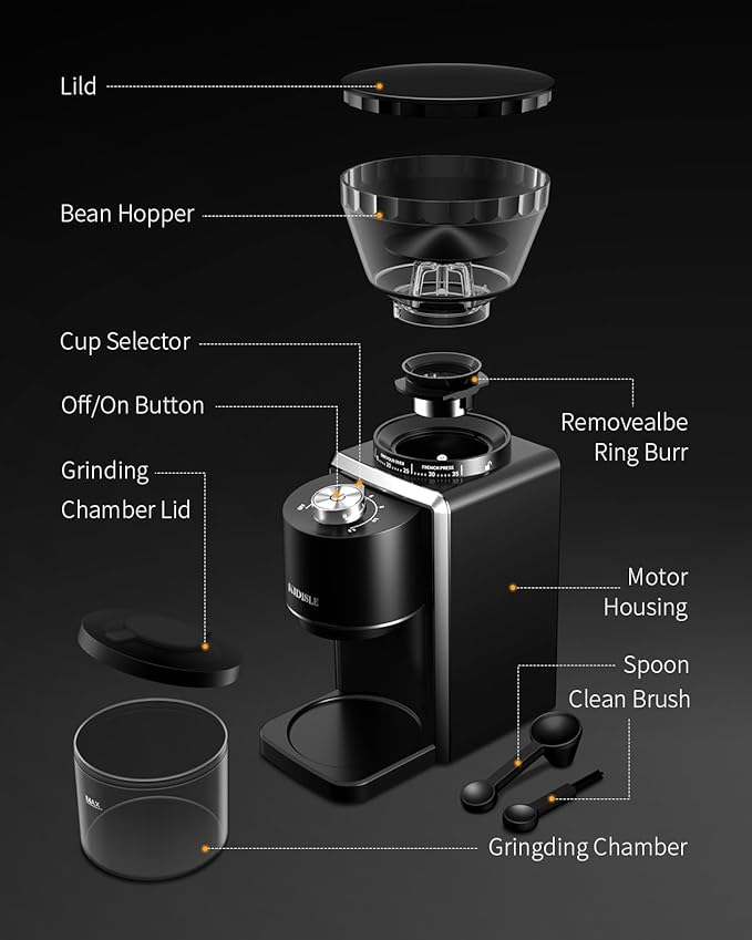 KIDISLE Conical Burr Coffee Grinder, Electric Coffee Bean Grinder for Precise Grinding, 35 Settings, 2–12 Cup Selector, Anti-Static Design for Home Use, Black