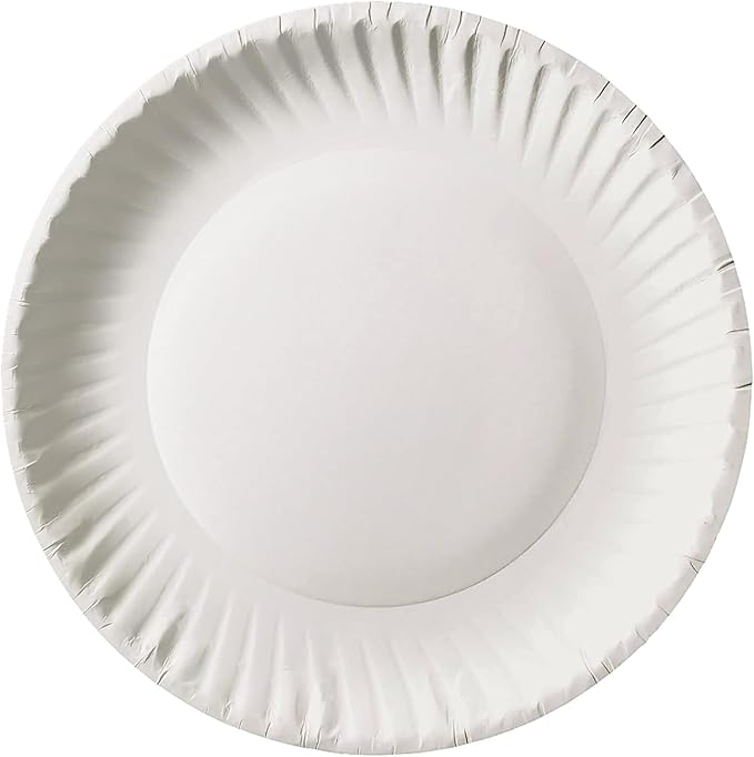 Bluetable 9 Inch Paper Plates Bulk – 1000 Count - Uncoated White 9” Dinner Plate Pizza Plate Decorative Craft Paper Plates Disposable Plates [1000 Pack/Case]