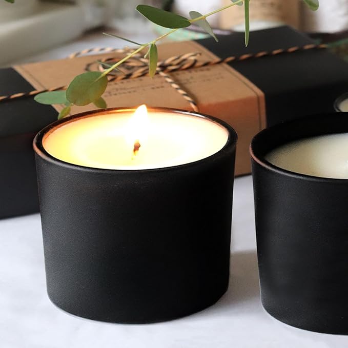 12 OZ Thick Candle Jars for Making Candles 12 Pcs, Empty Jars with Wood Lids for Spice Jars, Sample Container, Matte Black