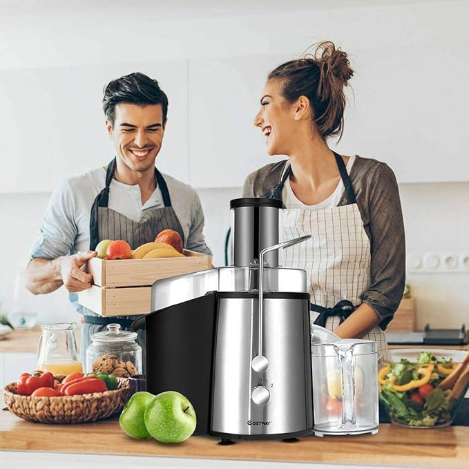 COSTWAY Juice Extractor, 75MM Wide Mouth Stainless Steel Juicer Machines, 2-Speed Setting High Speed Masticating Juicer Machine for Fruits and Vegetable with Slag Pot and Juice Jug, BPA-Free