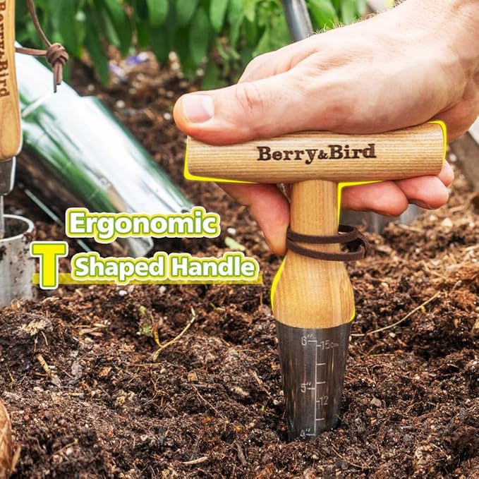 Berry&Bird Hand Dibber – Precision Wood Handle Garden Hole Punch Dibbler Tool for Planting Seeds & Bulbs with 6'' Measuring Scale, Bulb Planter for Planting Flowers Tulips Daffodils Dahlias
