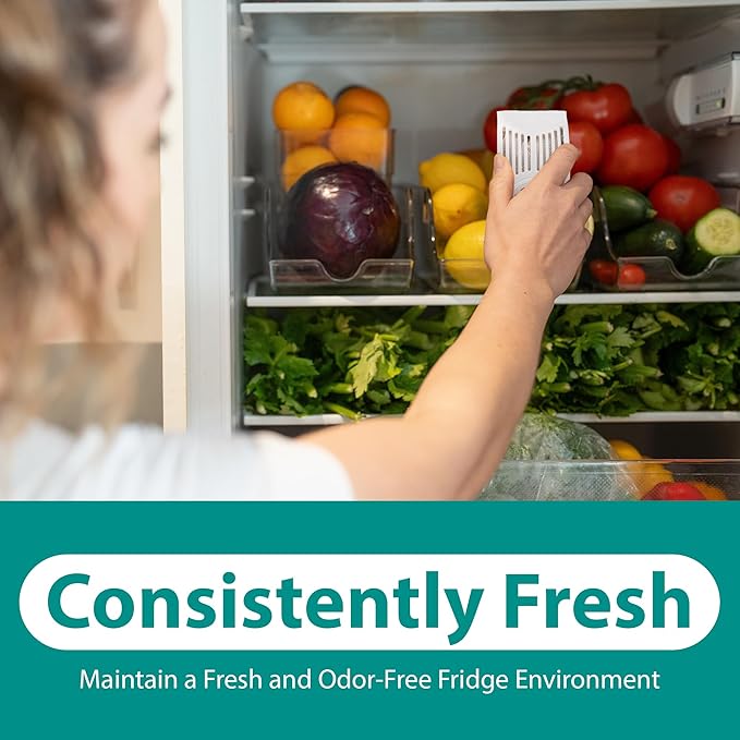 Refrigerator Deodorizer with Zeolites (4-Pack) - Odor Eliminator for Fridge & Freezer - Outshines Baking Soda and Bamboo Charcoal Bags - Long-Lasting, & Safe
