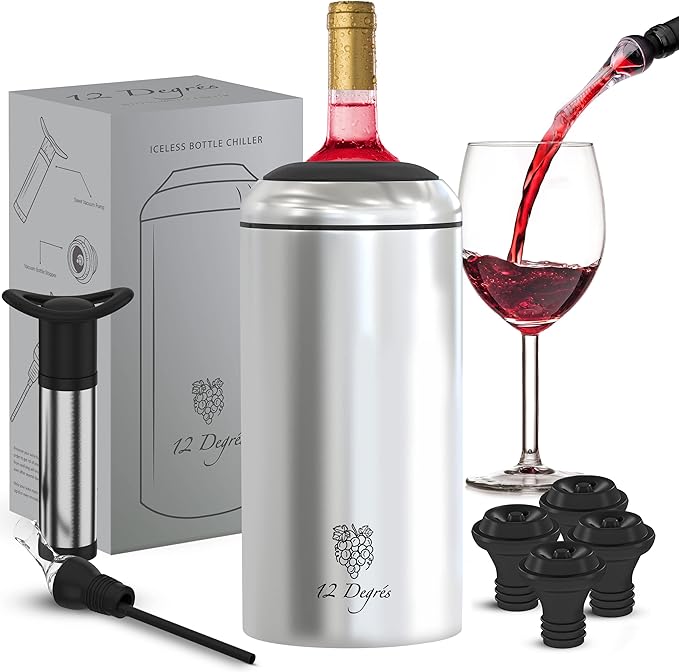Wine Chiller Set - Perfect Wine Gifts for Women & Men - Stainless Steel Insulated Wine Cooler with Wine Pump, Aerator & 4 Stoppers (Silver)