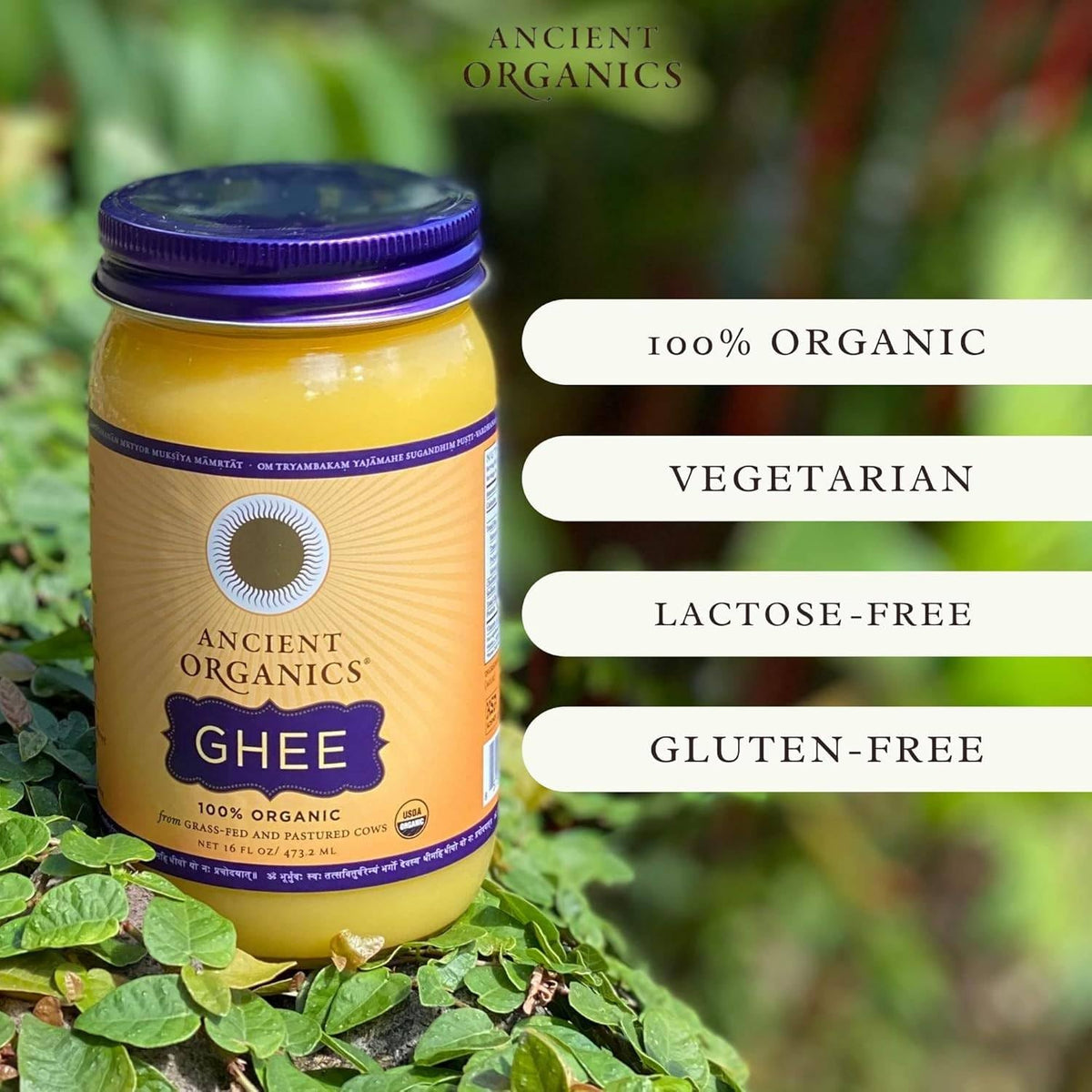 Ancient Organics Ghee, Organic Grass Fed Gluten Free Clarified Ghee Butter with Vitamins & Omegas, Lactose Free, 100% Certified Organic, Kosher, USDA Certified, Made in USA - 16 Fl Oz (Pack of 2)