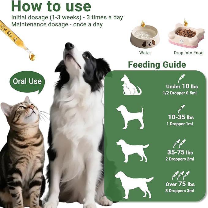 Kennel Cough Treatment Drop for Dogs &Cats,Help Wet and Dry Cough Relief,Seasonal Throat Discomfort, Natural Herbal Cough Liquid with Licorice,Ginger for All Breeds & Sizes,2 fl oz Bacon Flavor