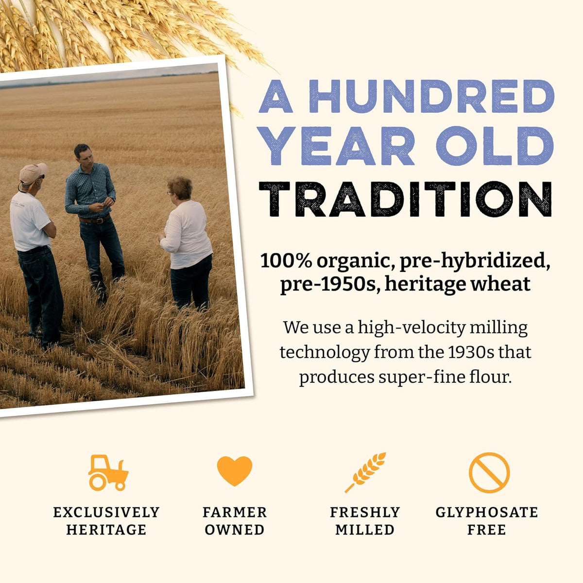 Sunrise Flour Mill USDA Organic Heritage Pasta Flour - 5 lbs | Milled from Hard Red Wheat | Easier to Digest with Less Bloating | No Bleaching or Bromating | Zero Additives