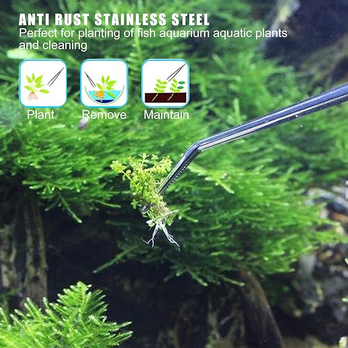 Longjet Kitchen Tweezers Metal Tongs for Cooking - Reptile Feeding Tongs for Gecko, Bearded Dragon, Snake - Long Forceps for Aquarium Plant