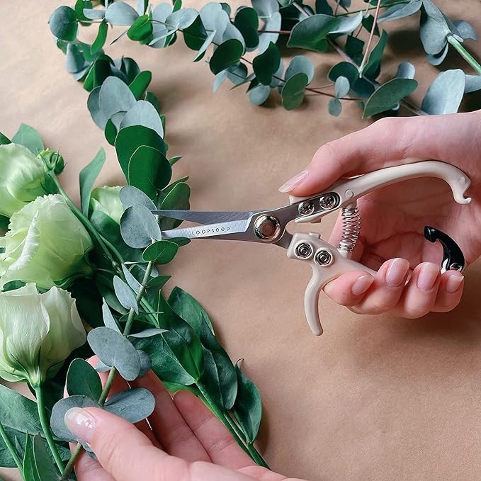 Plant Pruning Shears Garden Trimming Scissors Precision Hand Pruner Herb Snips Flower Clippers Bonsai Trimmers Straight Sharp Blade Tapered Tip Ergonomic Handle Garden Tools (Classic Cream)