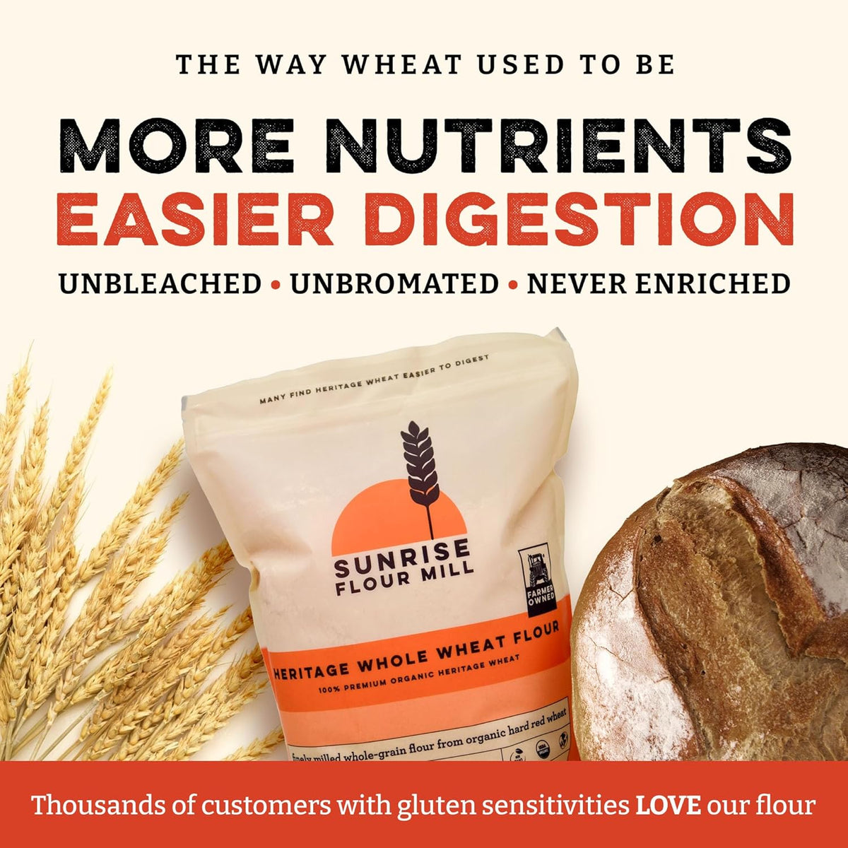 Sunrise Flour Mill Organic Heritage Whole Wheat Flour - 2 lbs | Easier to Digest with Less Bloating | No Bleaching or Bromating | Zero Additives