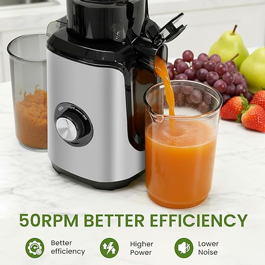 Simple Deluxe Cold Press Juicer, Slow Masticating Juicer Machines with Wide Feed Chute, Fits Whole Fruits and Vegetables, High Juice Yield, BPA Free, Easy to Clean, Silver