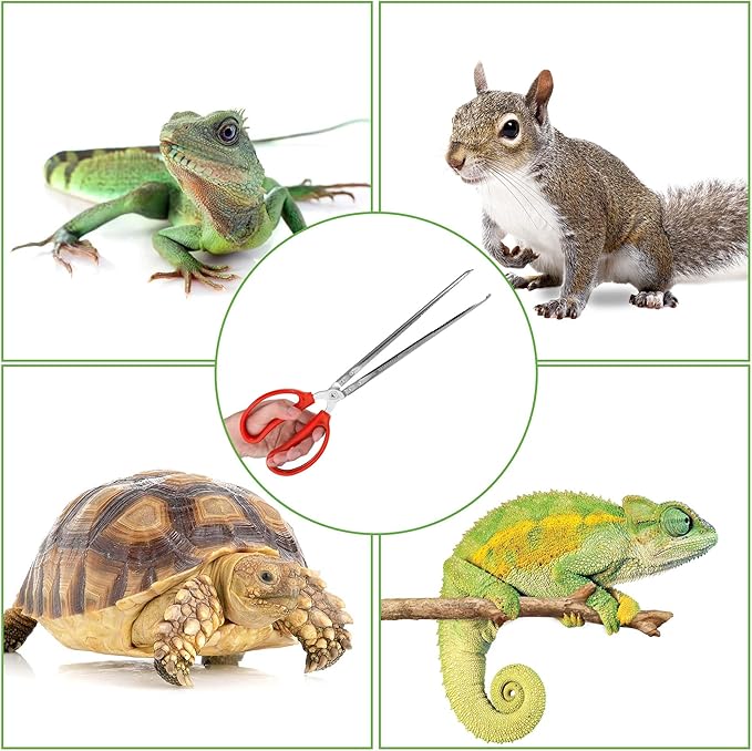 Snake Feeding Tongs,15 Inch Reptile Feeding Tongs,Extra Long Large Tweezers for Corn Ball Python Accessories,Bearded Dragon Tank Accessories,Pet Terrarium Supplies for Leopard Crested Gecko,Lizard