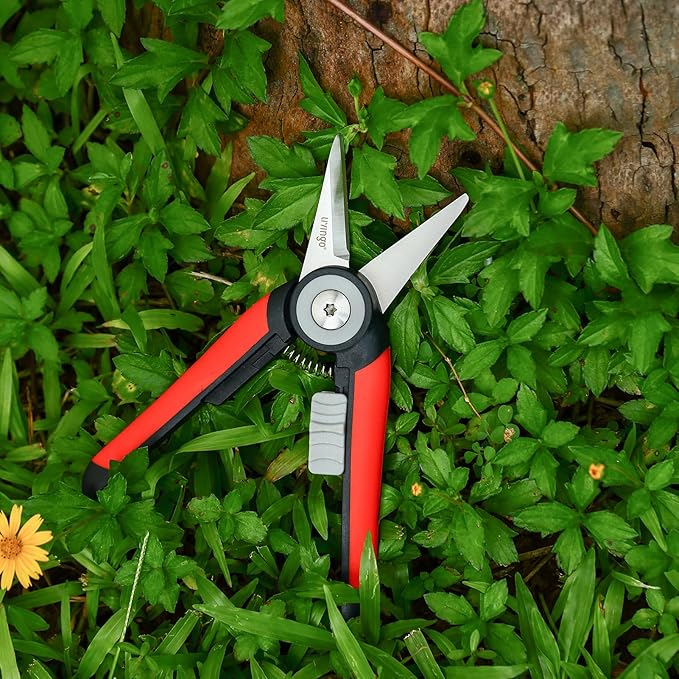 LIVINGO Precision Garden Pruning Shears - Straight Blade Floral Scissors with Non-Slip Handle for Trimming, 8.5" Gardening Clippers for Flowers, Herbs, Bonsai & Indoor Plants