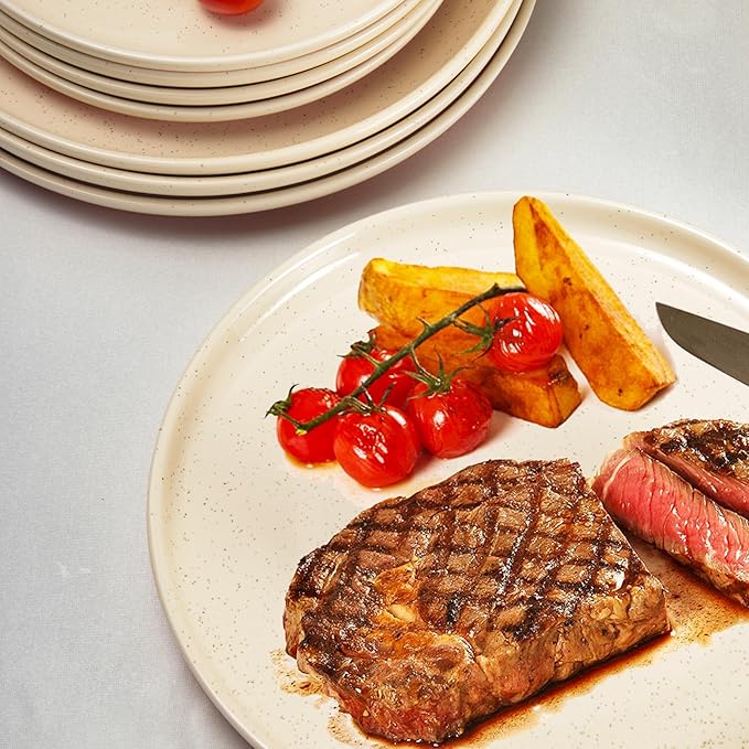 GZG Ceramic Dinner Plates Set of 4, 10.25 Inch Speckled Stoneware Plates with Clay-Tone Base, Large Ceramic Plates for Steak, Salad, Pizza, Microwave Oven Dishwasher Safe