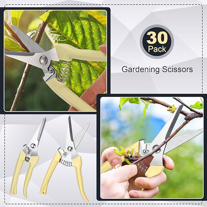 Chumia 30 Pcs Garden Flower Shears Pruning Scissors Heavy Duty Plant Scissors Trimming Garden Clippers Hand Tree Pruner for Yard Gardening Plants Hedge Flower Tree Cutting Secateurs (Beige)
