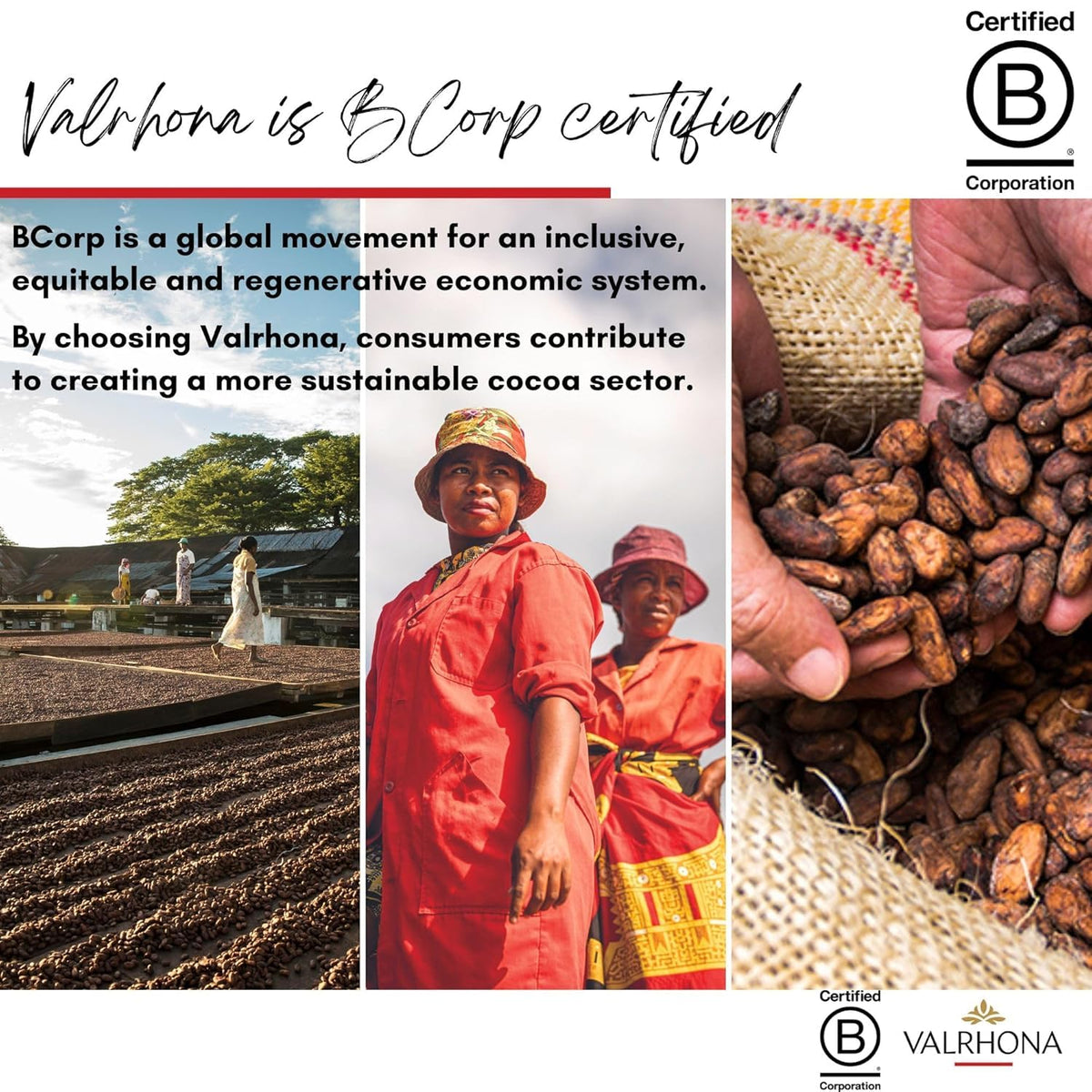 Valrhona Premium Baking Chocolate Discs (Feves), Milk JIVARA 40% with Hints of Vanilla and Malt, and Creamy Blonde Chocolate DULCEY 35% with Caramel Cookie Flavor Notes, for Cookies, Cakes, and more