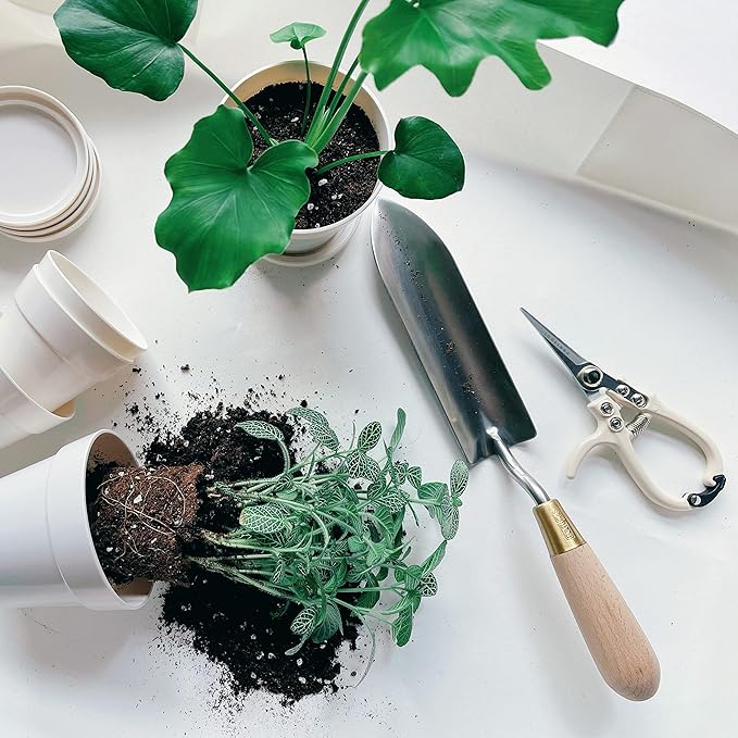 Plant Pruning Shears Garden Trimming Scissors Precision Hand Pruner Herb Snips Flower Clippers Bonsai Trimmers Straight Sharp Blade Tapered Tip Ergonomic Handle Garden Tools (Classic Cream)