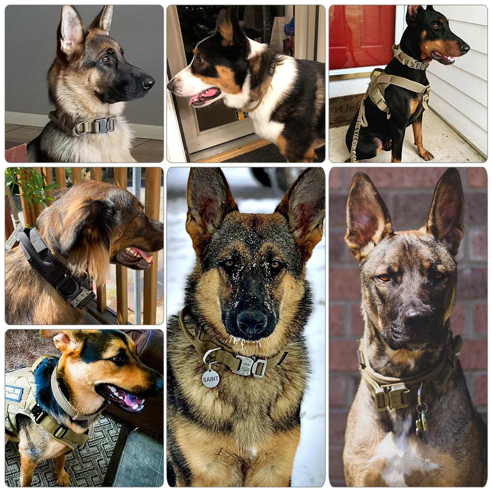 Tactical Nylon Dog Collar