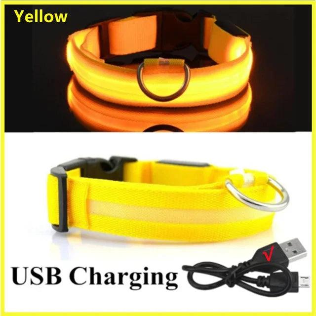 LED Rechargeable Dog Glow Collar