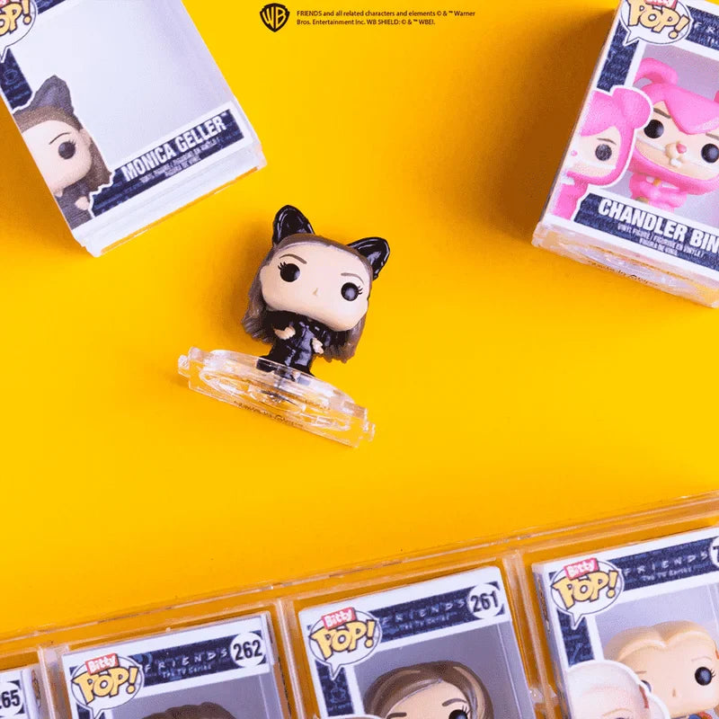 Funko Pop Friends Blind Box