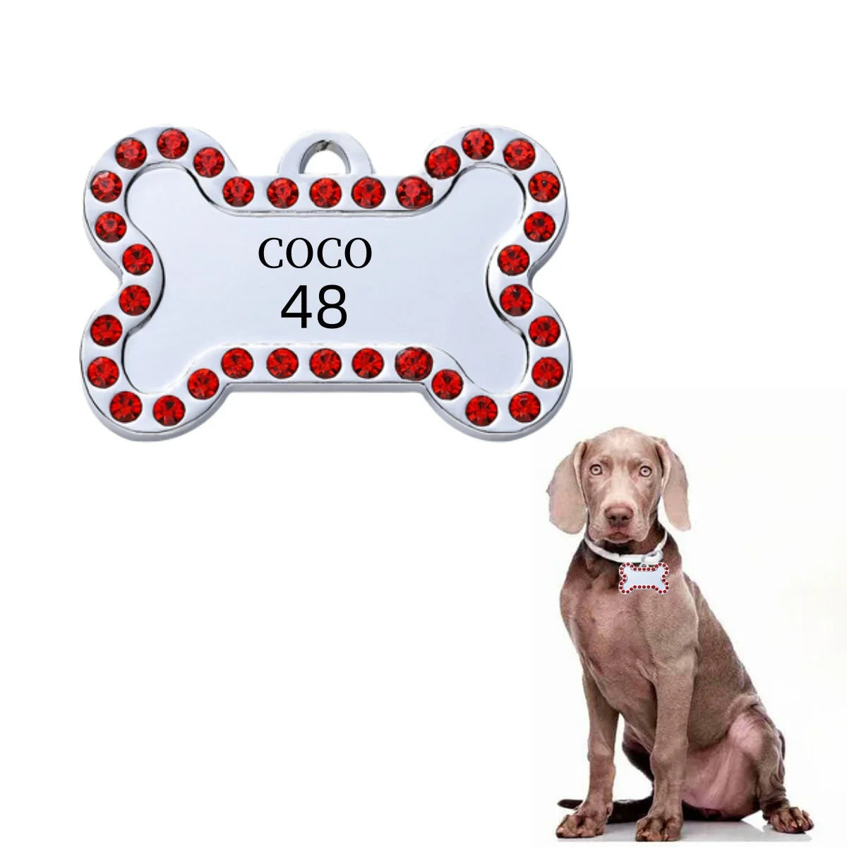 Custom Engraved Pet ID Tag